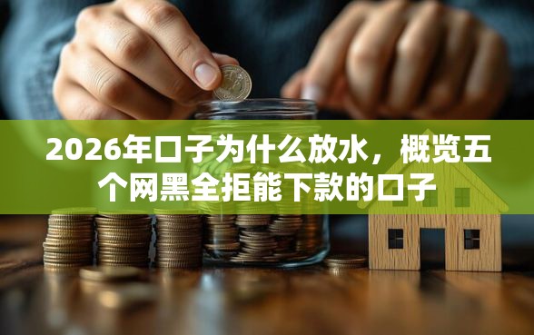 2026年口子为什么放水，概览五个网黑全拒能下款的口子