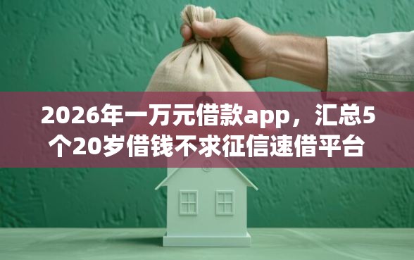 2026年一万元借款app，汇总5个20岁借钱不求征信速借平台