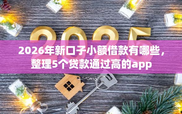 2026年新口子小额借款有哪些，整理5个贷款通过高的app