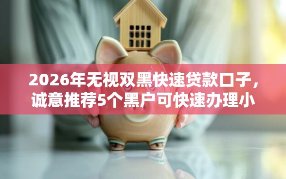 2026年无视双黑快速贷款口子，诚意推荐5个黑户可快速办理小额贷款业务的软件