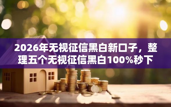 2026年无视征信黑白新口子，整理五个无视征信黑白100%秒下网贷平台