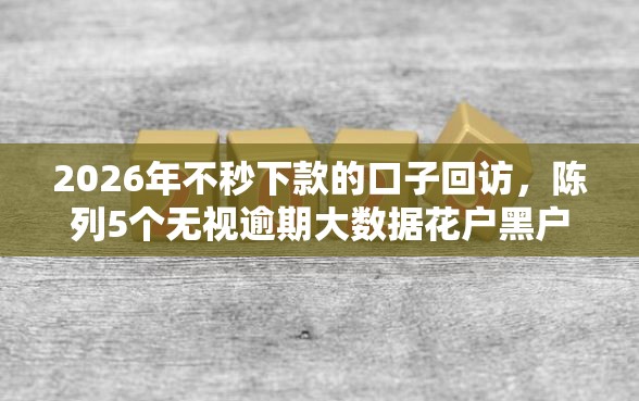 2026年不秒下款的口子回访，陈列5个无视逾期大数据花户黑户软件
