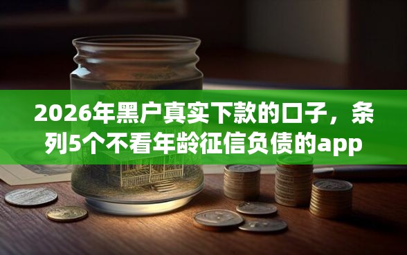 2026年黑户真实下款的口子，条列5个不看年龄征信负债的app