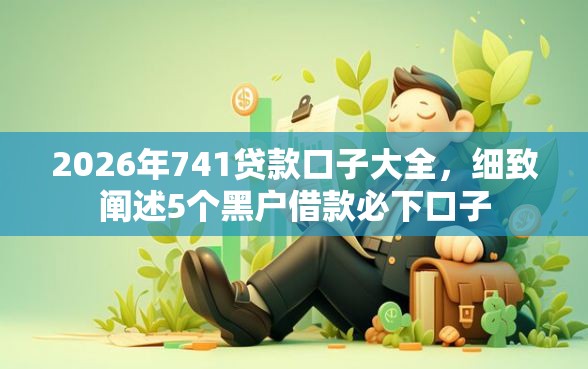 2026年741贷款口子大全，细致阐述5个黑户借款必下口子