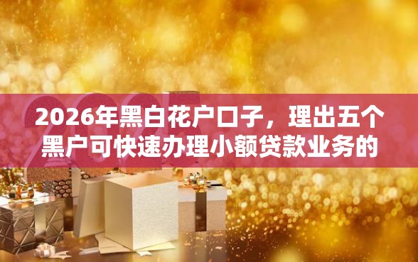 2026年黑白花户口子，理出五个黑户可快速办理小额贷款业务的平台