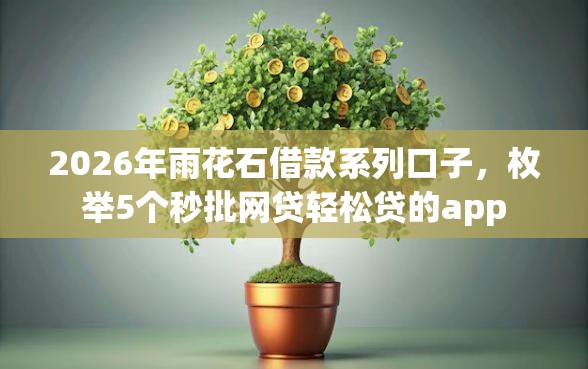 2026年雨花石借款系列口子，枚举5个秒批网贷轻松贷的app