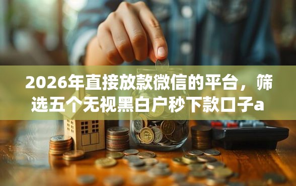 2026年直接放款微信的平台，筛选五个无视黑白户秒下款口子app