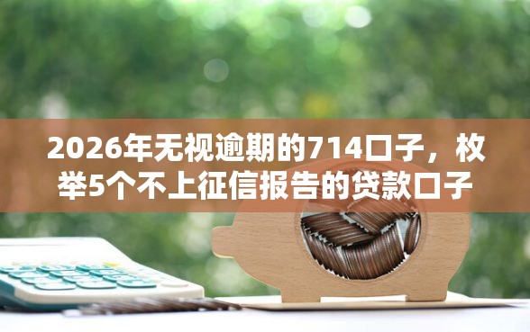 2026年无视逾期的714口子，枚举5个不上征信报告的贷款口子