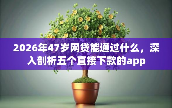 2026年47岁网贷能通过什么，深入剖析五个直接下款的app