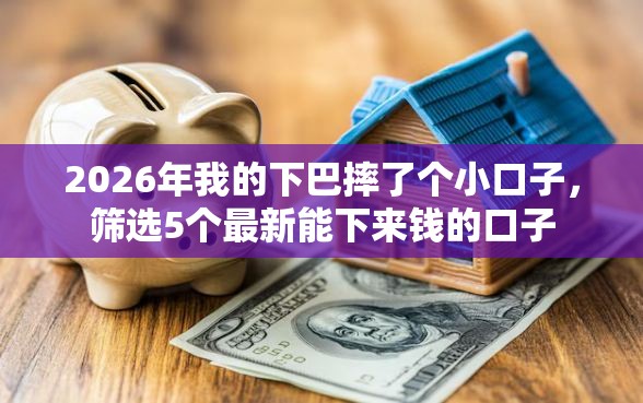 2026年我的下巴摔了个小口子，筛选5个最新能下来钱的口子