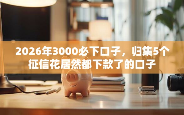 2026年3000必下口子，归集5个征信花居然都下款了的口子