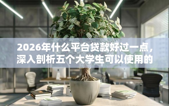2026年什么平台贷款好过一点，深入剖析五个大学生可以使用的口子