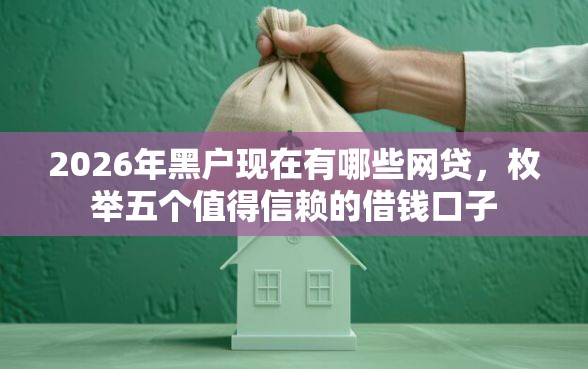 2026年黑户现在有哪些网贷，枚举五个值得信赖的借钱口子