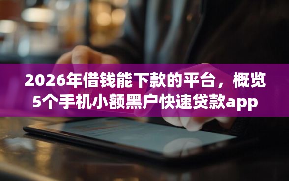 2026年借钱能下款的平台，概览5个手机小额黑户快速贷款app