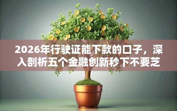 2026年行驶证能下款的口子，深入剖析五个金融创新秒下不要芝麻分的软件