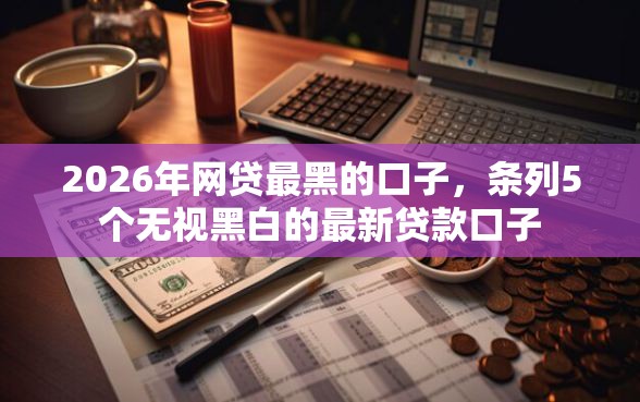 2026年网贷最黑的口子，条列5个无视黑白的最新贷款口子