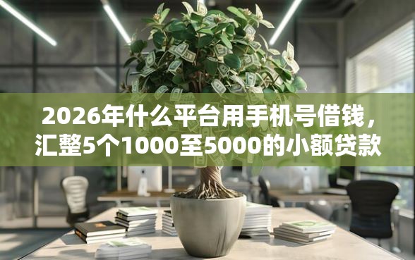2026年什么平台用手机号借钱，汇整5个1000至5000的小额贷款平台