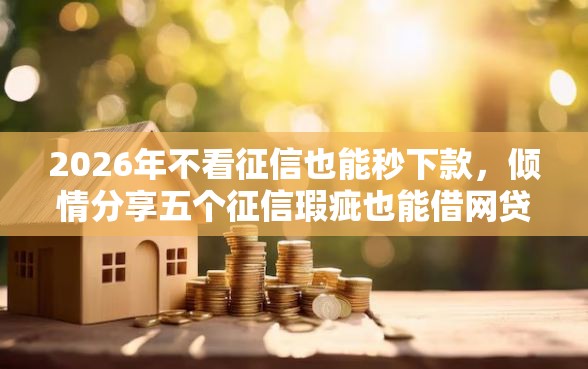 2026年不看征信也能秒下款，倾情分享五个征信瑕疵也能借网贷轻松下款的平台