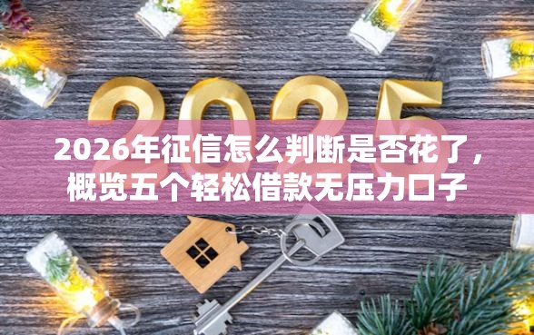 2026年征信怎么判断是否花了，概览五个轻松借款无压力口子