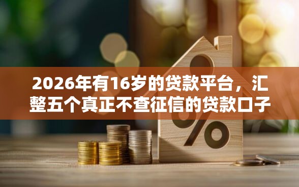 2026年有16岁的贷款平台，汇整五个真正不查征信的贷款口子