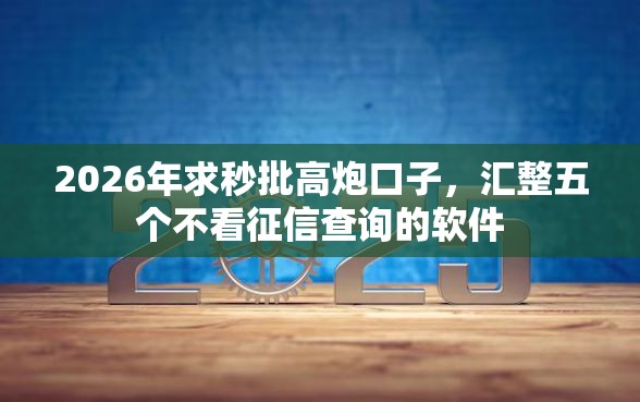 2026年求秒批高炮口子，汇整五个不看征信查询的软件
