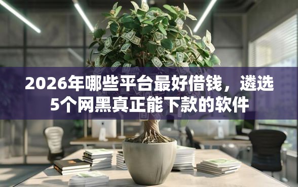 2026年哪些平台最好借钱，遴选5个网黑真正能下款的软件