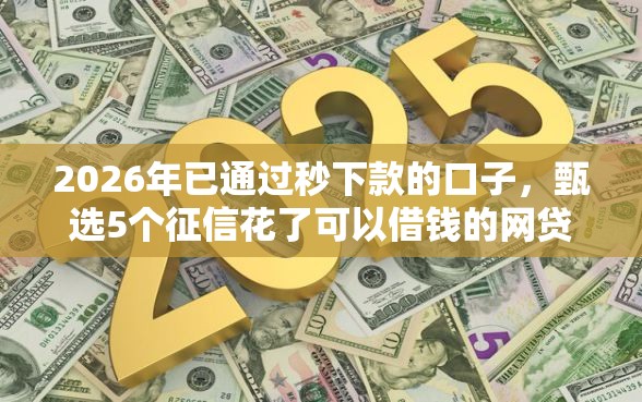 2026年已通过秒下款的口子，甄选5个征信花了可以借钱的网贷平台