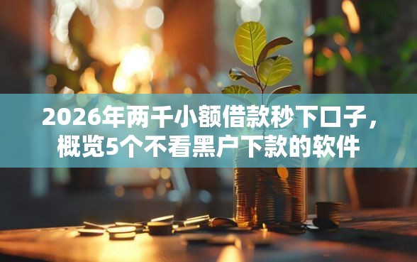 2026年两千小额借款秒下口子，概览5个不看黑户下款的软件
