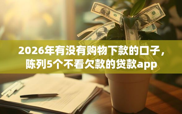 2026年有没有购物下款的口子，陈列5个不看欠款的贷款app