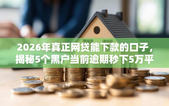 2026年真正网贷能下款的口子，揭秘5个黑户当前逾期秒下5万平台