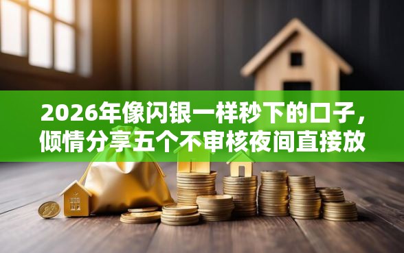 2026年像闪银一样秒下的口子，倾情分享五个不审核夜间直接放款的网贷口子
