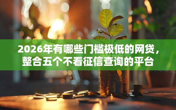 2026年有哪些门槛极低的网贷，整合五个不看征信查询的平台