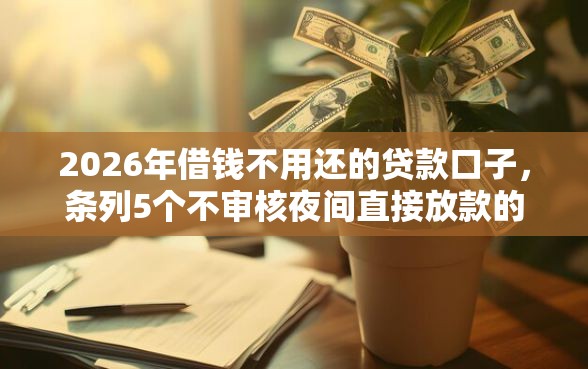 2026年借钱不用还的贷款口子，条列5个不审核夜间直接放款的网贷软件