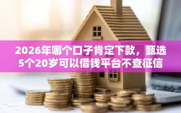 2026年哪个口子肯定下款，甄选5个20岁可以借钱平台不查征信的口子