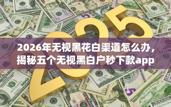 2026年无视黑花白渠道怎么办，揭秘五个无视黑白户秒下款app