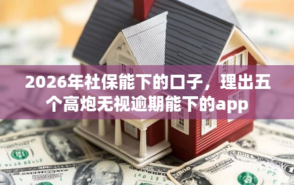 2026年社保能下的口子，理出五个高炮无视逾期能下的app