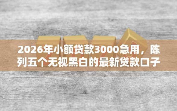 2026年小额贷款3000急用，陈列五个无视黑白的最新贷款口子