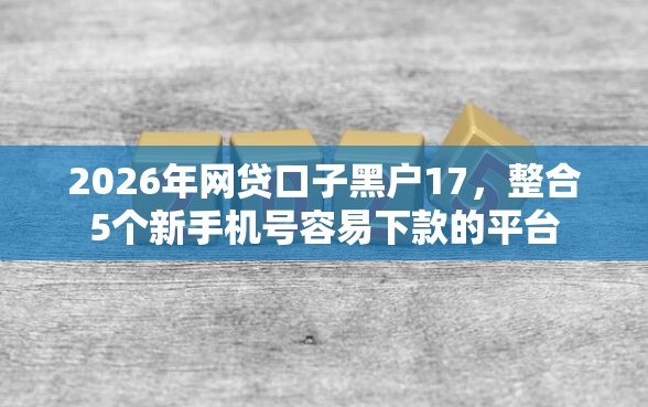 2026年网贷口子黑户17，整合5个新手机号容易下款的平台