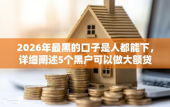 2026年最黑的口子是人都能下，详细阐述5个黑户可以做大额贷款软件