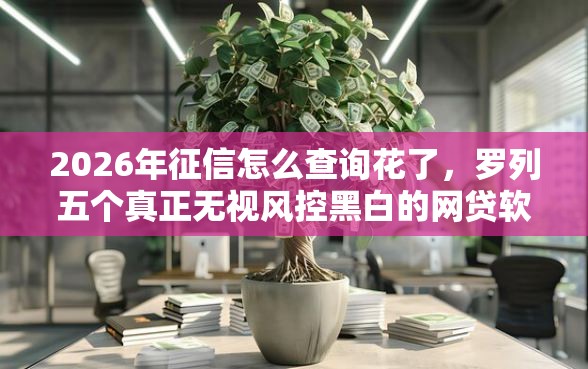 2026年征信怎么查询花了，罗列五个真正无视风控黑白的网贷软件