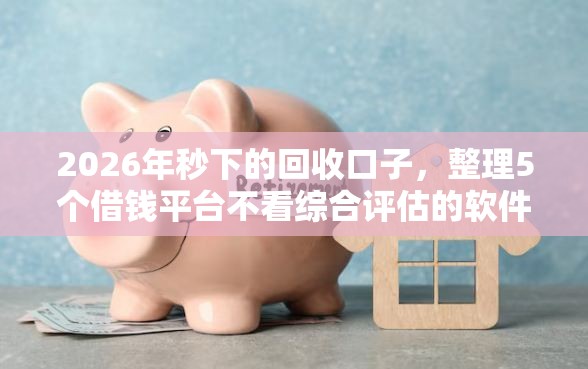 2026年秒下的回收口子，整理5个借钱平台不看综合评估的软件