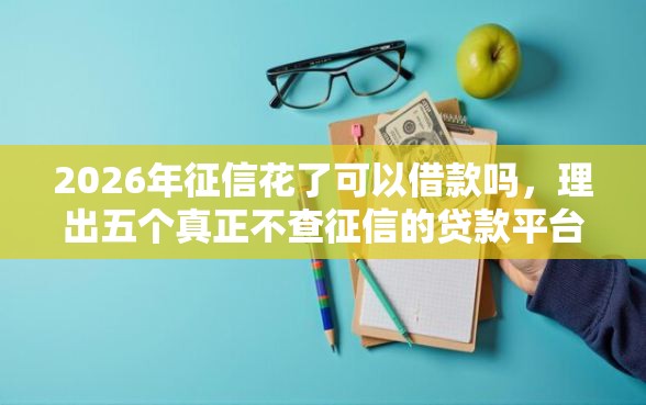 2026年征信花了可以借款吗，理出五个真正不查征信的贷款平台