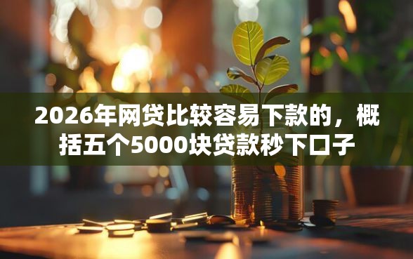 2026年网贷比较容易下款的，概括五个5000块贷款秒下口子