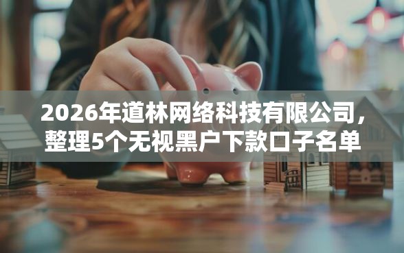 2026年道林网络科技有限公司，整理5个无视黑户下款口子名单大全