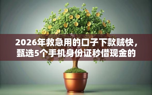 2026年救急用的口子下款贼快，甄选5个手机身份证秒借现金的软件