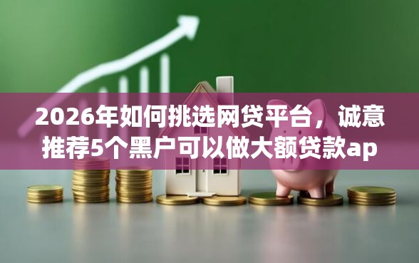 2026年如何挑选网贷平台，诚意推荐5个黑户可以做大额贷款app
