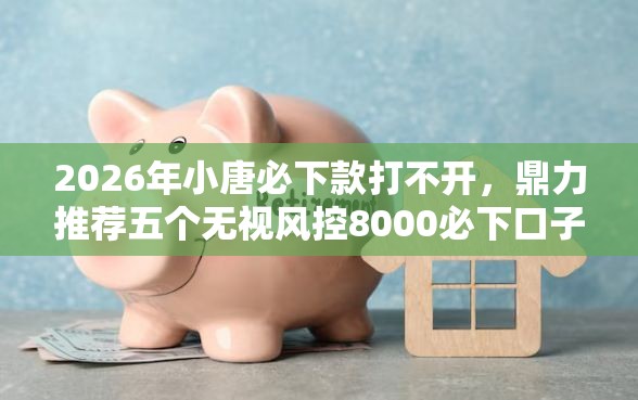 2026年小唐必下款打不开,鼎力推荐五个无视风控8000必下口子 2026年小唐必下款打不开,鼎力推荐五个无视风控8000必下口子