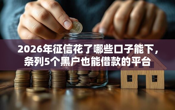 2026年征信花了哪些口子能下，条列5个黑户也能借款的平台