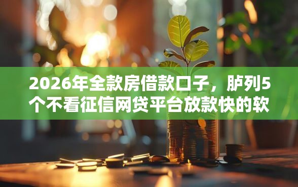 2026年全款房借款口子，胪列5个不看征信网贷平台放款快的软件