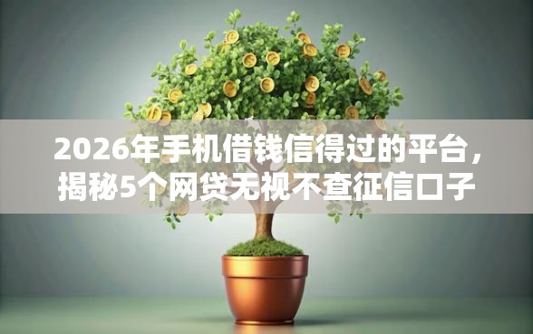 2026年手机借钱信得过的平台，揭秘5个网贷无视不查征信口子
